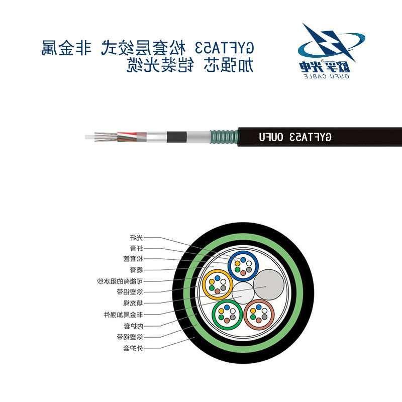 滁州市GYFTA53光缆